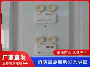 商用、酒店、工程专用应急灯实力厂家推荐：多功能长续航应急灯定制之选