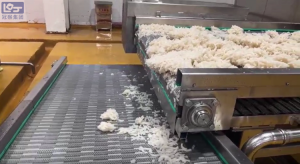 魔芋蒸煮、冷链输送及布料称重设备厂家推荐：聚焦优质企业实力解析