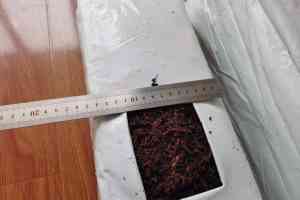 种植条、椰糠砖批发及椰糠条品牌供应商厂家推荐