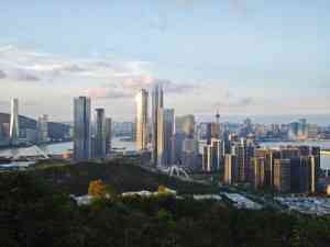 聚焦横琴：生物医药、集成电路等多产业招商引资政策与服务全解析