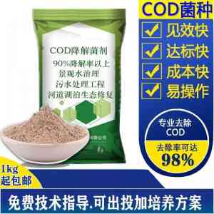 耐低温菌种、污水处理菌种及好氧菌种代加工服务厂家推荐