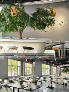 深度体验！上海、苏州、嘉兴多地减重机构，哪家更值得选择？