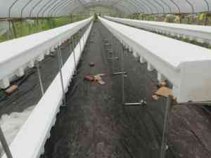 苹果/PE/果园/苗圃/生态防草布厂家推荐，山东环农生态科技实力之选