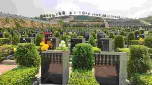 成都殡葬服务优选：殡仪一条龙、陵园墓地服务优质之选