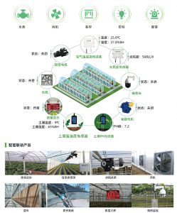 花卉温室、大棚智能环境控制柜等制造商及安装调试公司厂家推荐