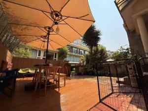 昆明及云南地区训犬师与宠物行为矫正优质培训机构推荐