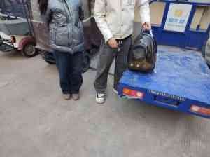 广东、江苏、湖北、河南、山东猫丢了怎么办？专业寻猫服务来助力