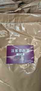 淡紫拟青霉紫孢菌优质厂家推荐:聚焦实力企业与产品优势解析
