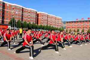 北京河北天津多地武校推荐：登封市少林小龙武术学校实力之选