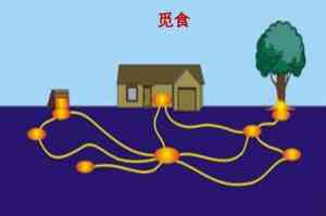 湖南灭鼠、马陆防治、小区物业除虫及医院消毒除虫优质服务推荐
