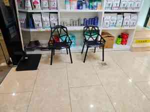 深圳及广东宠物医疗品牌推荐：涵盖体检、绝育、微创手术及异宠服务