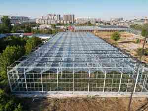 阳光板温室、连栋玻璃温室等厂家推荐：青州顺祥温室工程有限公司实力之选