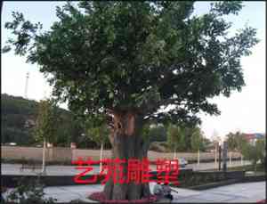 假树大门、椰子假树、水泥假树加工厂家推荐，榕树假树工厂揭秘