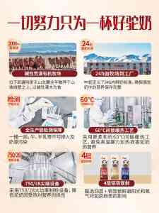 益生菌驼乳粉、有机纯驼乳粉等厂家推荐:聚焦新疆优质驼乳粉供应商