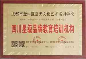 四川书法艺考培训优选:泸州、成都等地专业机构为你冲刺梦想助力