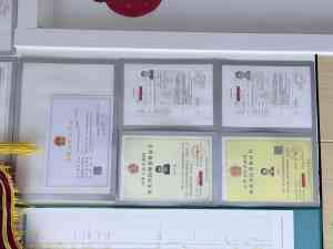 广东宠物医院品牌推荐:涵盖眼科、急诊与微创手术等多领域