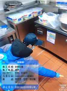 南京及镇江消杀服务机构推荐：涵盖多场景虫害防控与应急消杀服务