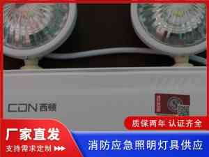 通道/疏散/消防/出口/楼道应急灯厂家推荐：厂家实力解析