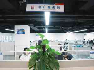优质财税品牌推荐:营业执照注册、公司注销及合理避税服务厂家