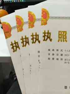 浙江公司注册服务大揭秘:杭州专业渠道与网上申请入口全解析