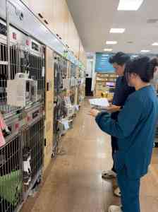 鹤岗、牡丹江等地动物疾病医院咨询：为您的宠物健康保驾护航