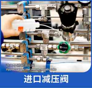 焊接式、进口氮气/水用/二氧化碳/乙炔减压阀厂家推荐,实力之选