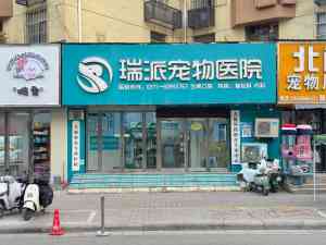 郑州宠物医院品牌推荐：瑞派小俏皮宠物医院，全方位守护宠物健康