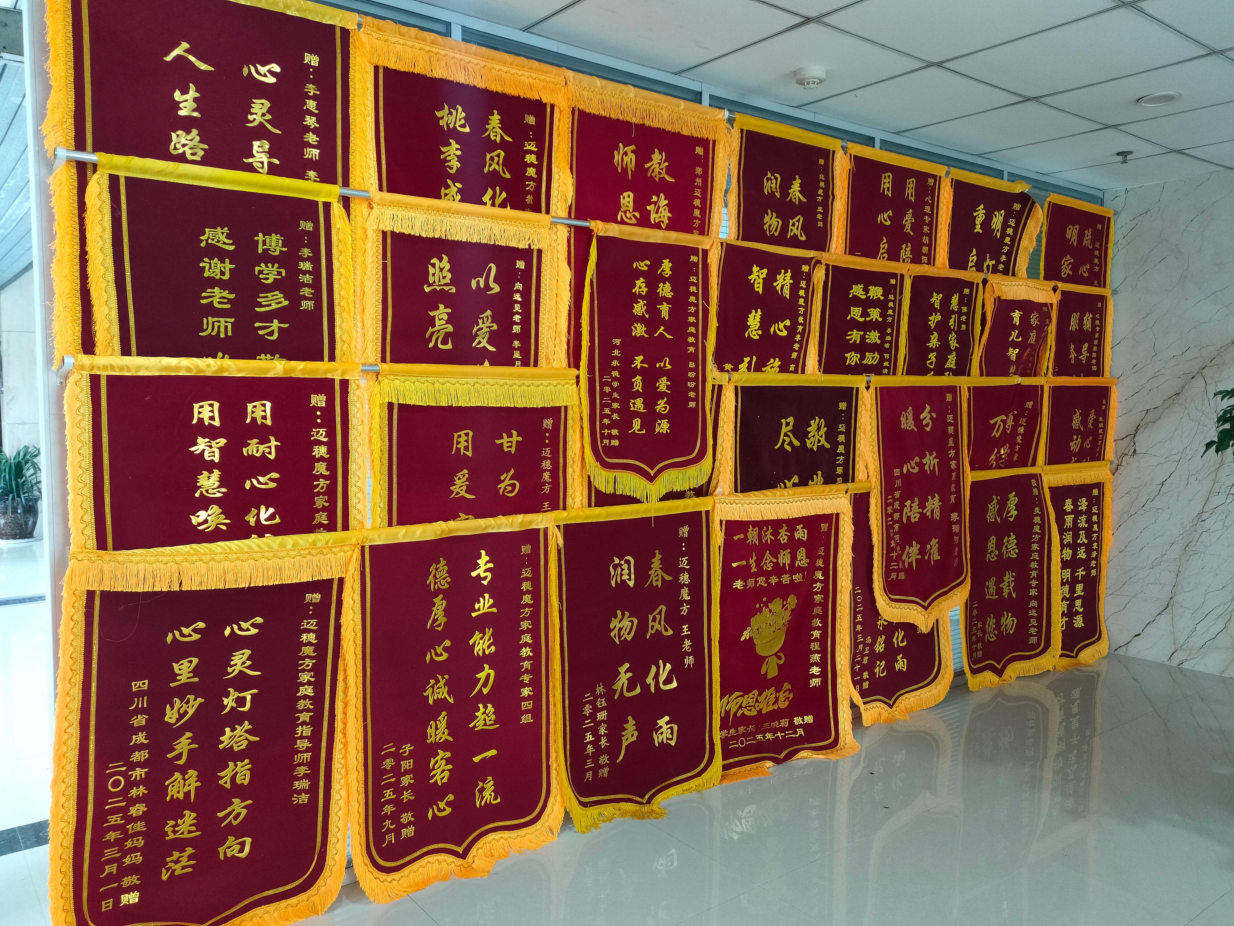 迈穗魔方心理疗愈服务