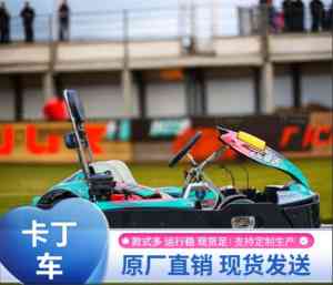 荒野/电动/单人/燃油/双人卡丁车生产商及供货厂家推荐，郑州卓远游乐在列