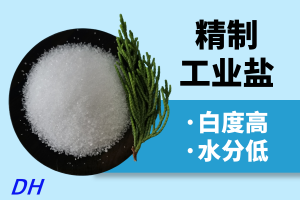 大颗粒、饲料级、精制等工业盐厂家推荐:优质厂商为您提供多样选择