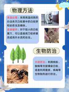 厦门、漳州、宁德、泉州、莆田除白蚁服务优质商家推荐，专业保障安心之选