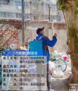 镇江通信电力、南京历史建筑等多场景白蚁防治服务机构推荐