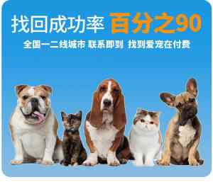 合肥、济南、南昌、哈尔滨、福州寻猫服务推荐,上海孙锦荣寻宠实力出众