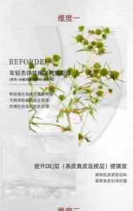 辽宁贵妇护肤新选择：沈阳小众眼霜优化，鞍山明星同款推荐，大连维密保养之选