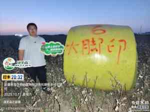石家庄、北京、天津等地白根多服务咨询,康拓森生物科技是优选之选