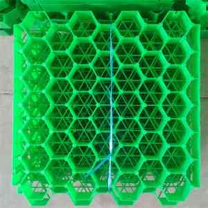 优质4cm植草格制造企业推荐:塑料、停车场、HDPE、护坡植草格实力厂家