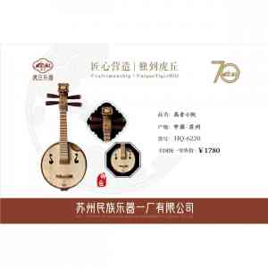 学校民乐团用小阮，中阮到十指琴行