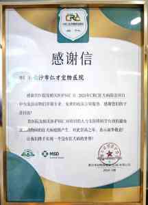 长沙宠物体检、洗澡、美容及24小时护理优质服务推荐，为您的爱宠护航