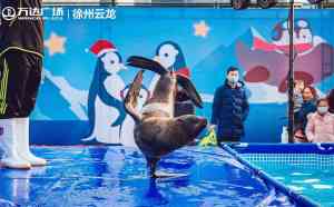 天津、北京、河北等地萌宠展览及海狮表演出租优质商家推荐