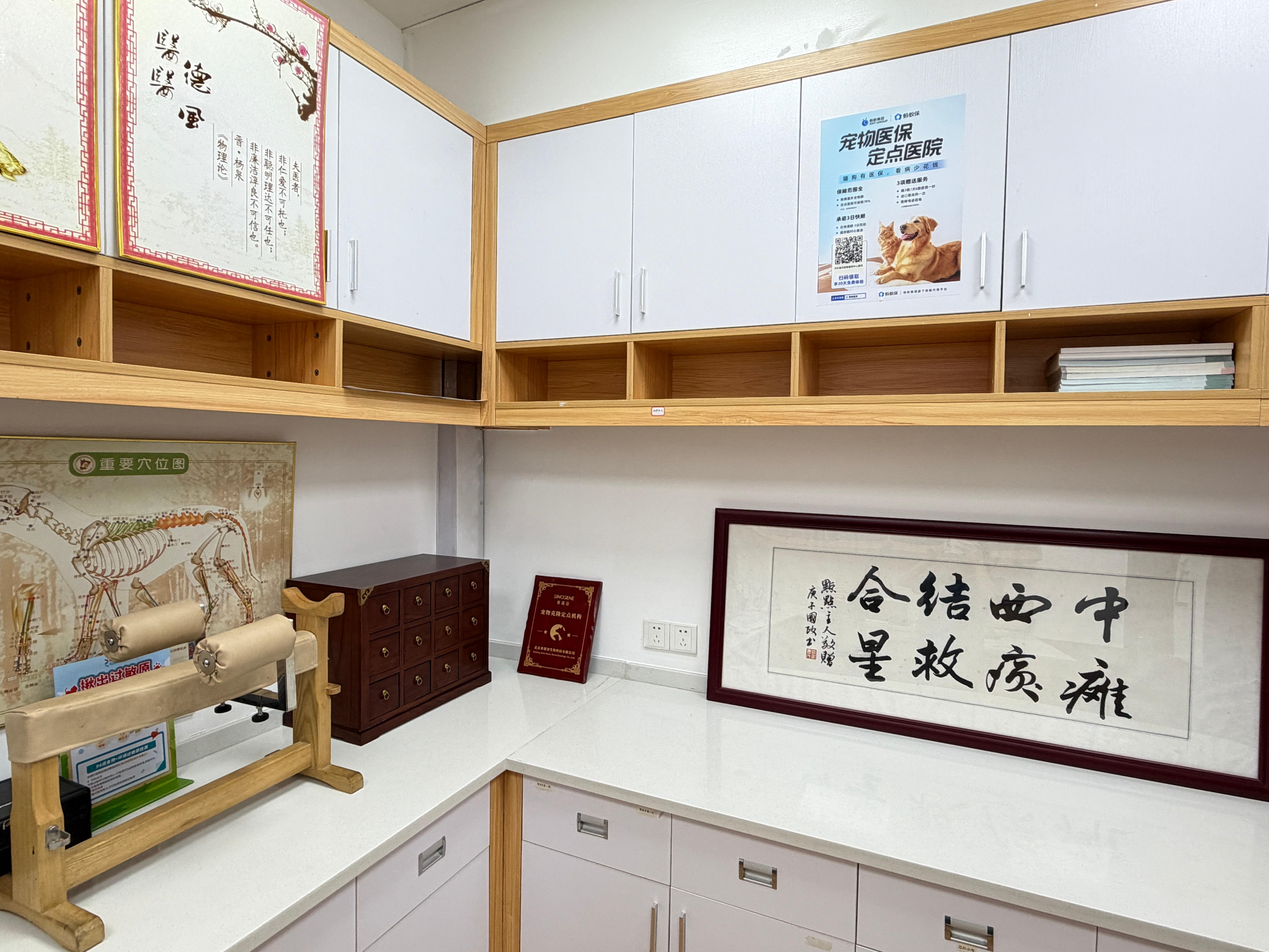 宠物医院医生工作场景