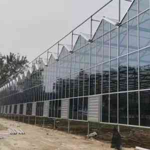 玻璃大棚、智慧玻璃温室大棚厂家推荐：适配多场景的优质直销之选