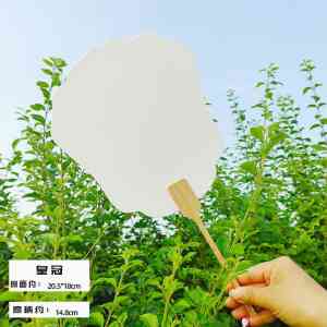 古风漆扇厂家推荐：夹江县艺传说文化用品有限公司领衔定制新风尚