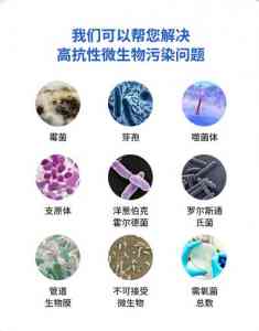 组培室霉菌消杀、水系统生物膜清除及霉菌滋生解决方案厂家推荐