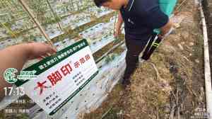 治僵苗、抗重茬、吲哚丁酸等爆发式生根厂商及定做厂家推荐