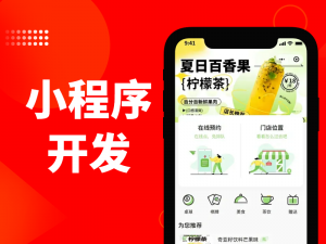 上海、辽宁、江苏、黑龙江、吉林多地优质小程序开发服务推荐，聚焦专业服务商