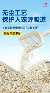 郑州植物混合猫砂品牌推荐:河南宠在指尖,高品质猫砂之选