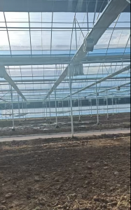 樱桃大棚设计施工及建设供货厂家推荐,聚焦樱桃大棚管定制
