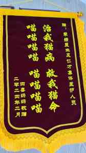 长沙宠物护理服务推荐：24小时医院、洗澡、体检、美容全方位呵护