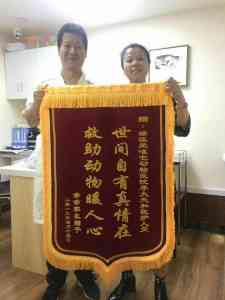 西安宠物洗澡、诊疗清洁服务推荐:涵盖内科、牙科等多领域优质选择