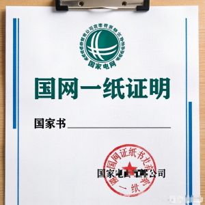 国网资质核实与一纸证明代办服务推荐:专业机构为您排忧解难